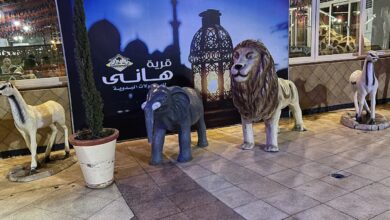 Photo of أسعار قرية هاني 2025