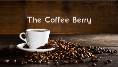Photo of منيو كوفي بيري السعودية 2025 Coffee Berry